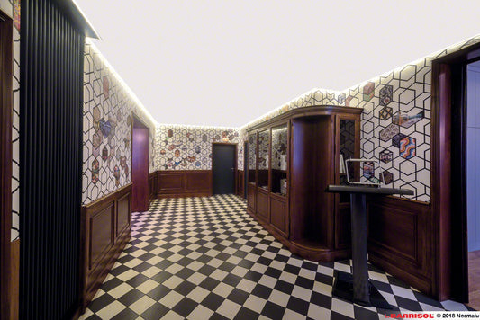 Barrisol® Light Lines®