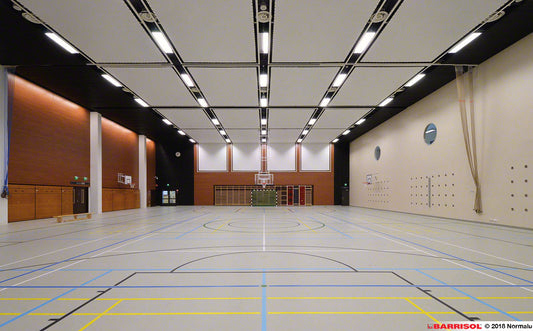 Barrisol Trempoacoustic®